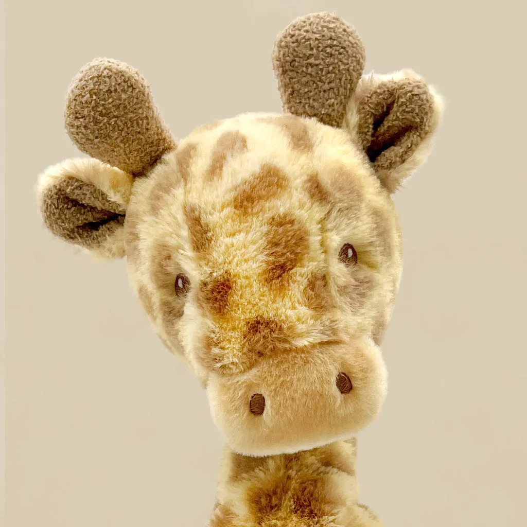 Jungle Balloon Birthday Set with Giraffe